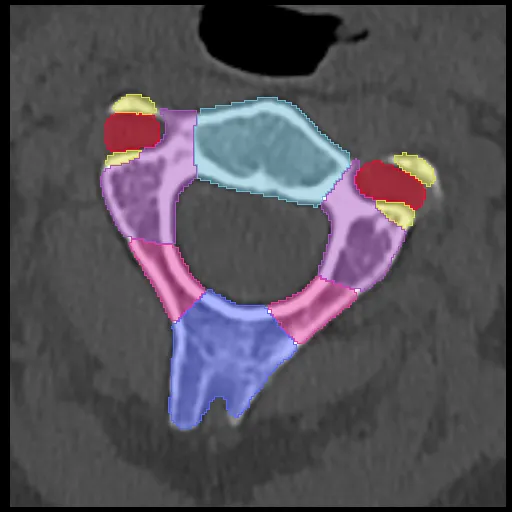 Cervical Spine Anatomy